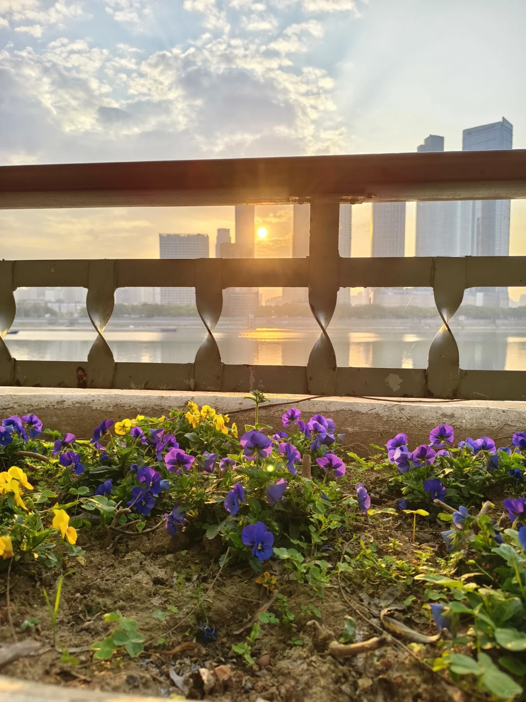 那些我尚未知道的美丽——长沙橘子洲