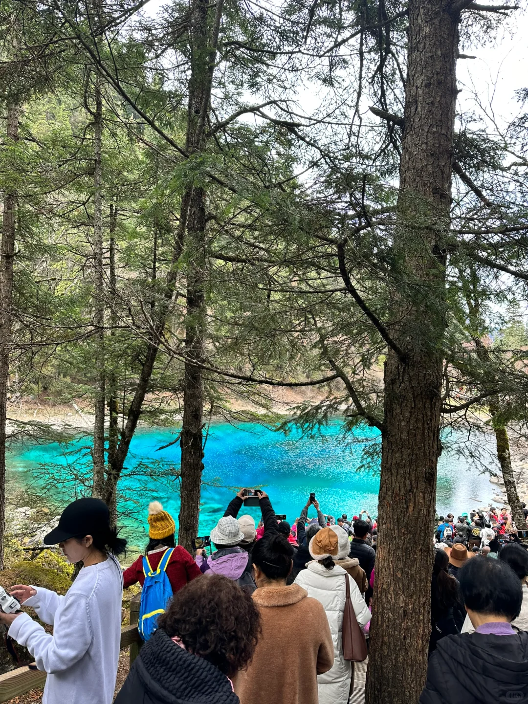 一人出游📍四川4天4晚超实用旅游攻略✈️