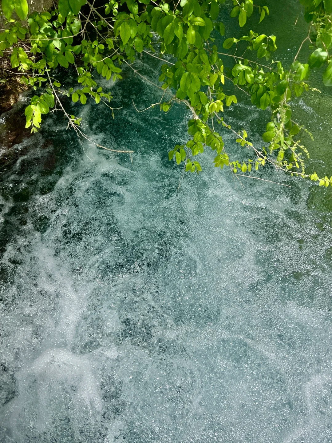 济南请你好好宣传这里❗️这水乡古城太美了！
