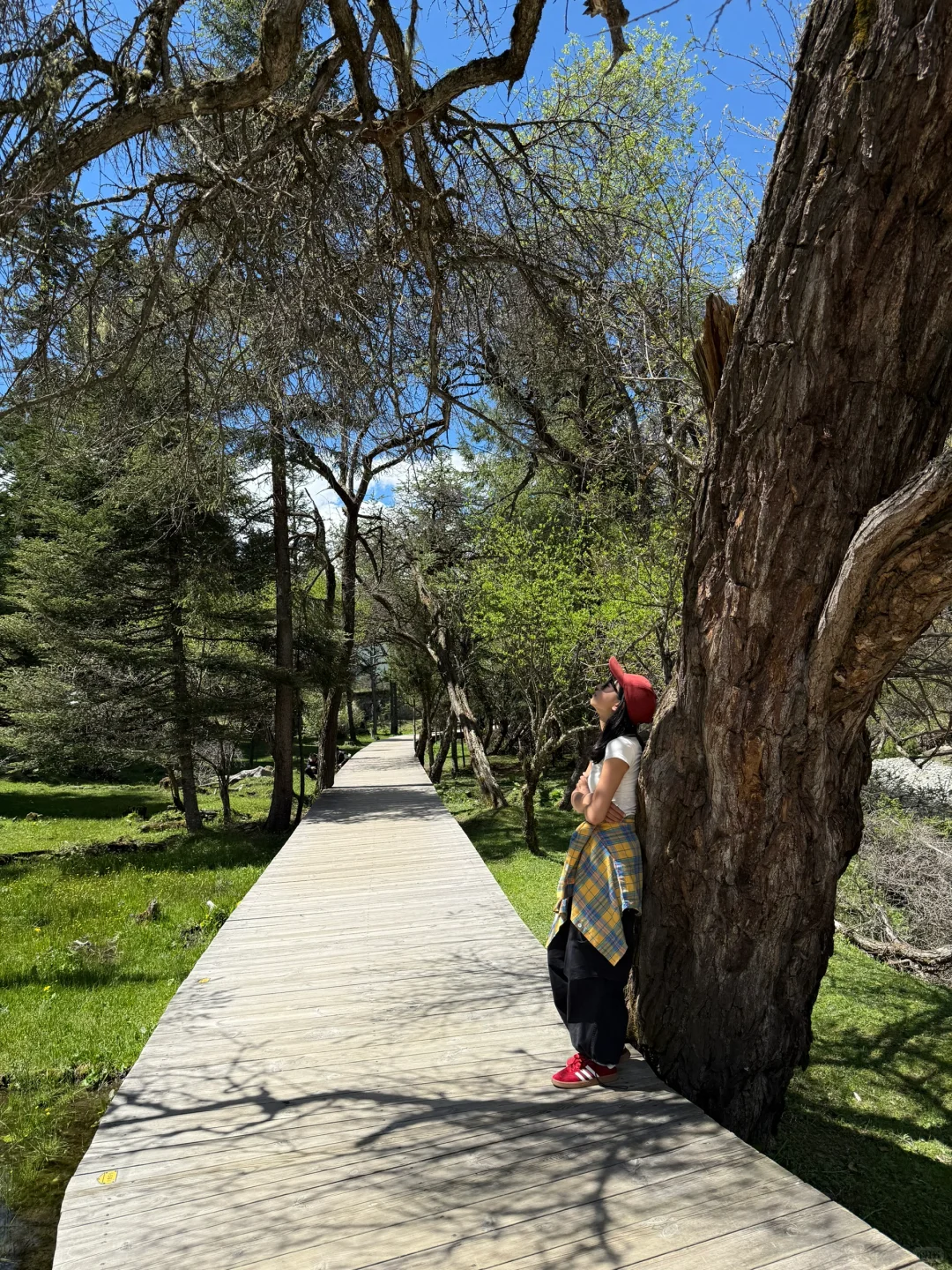 6.5实况！雪山下的松弛感真的可以封神！！live