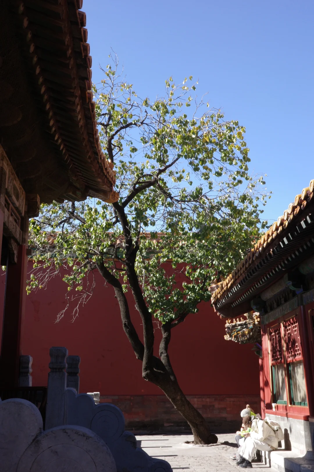 国内适合女生solotrip城市推荐（欢迎补充