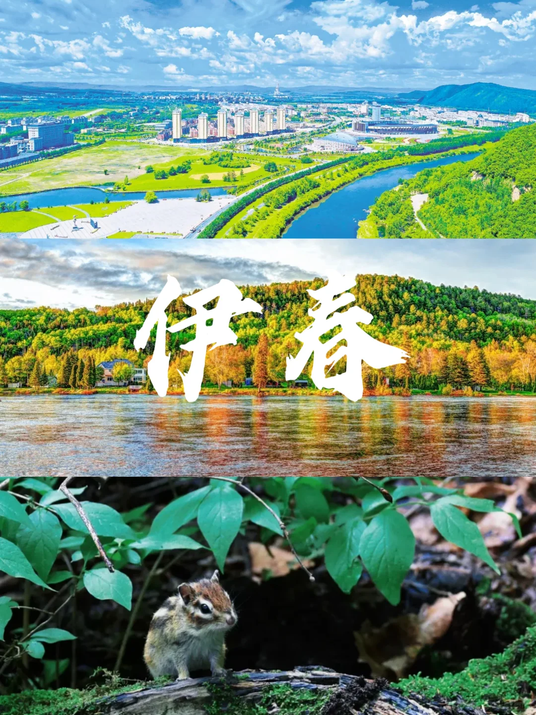 避暑胜地‖国内8个最凉快的避暑推荐❄️