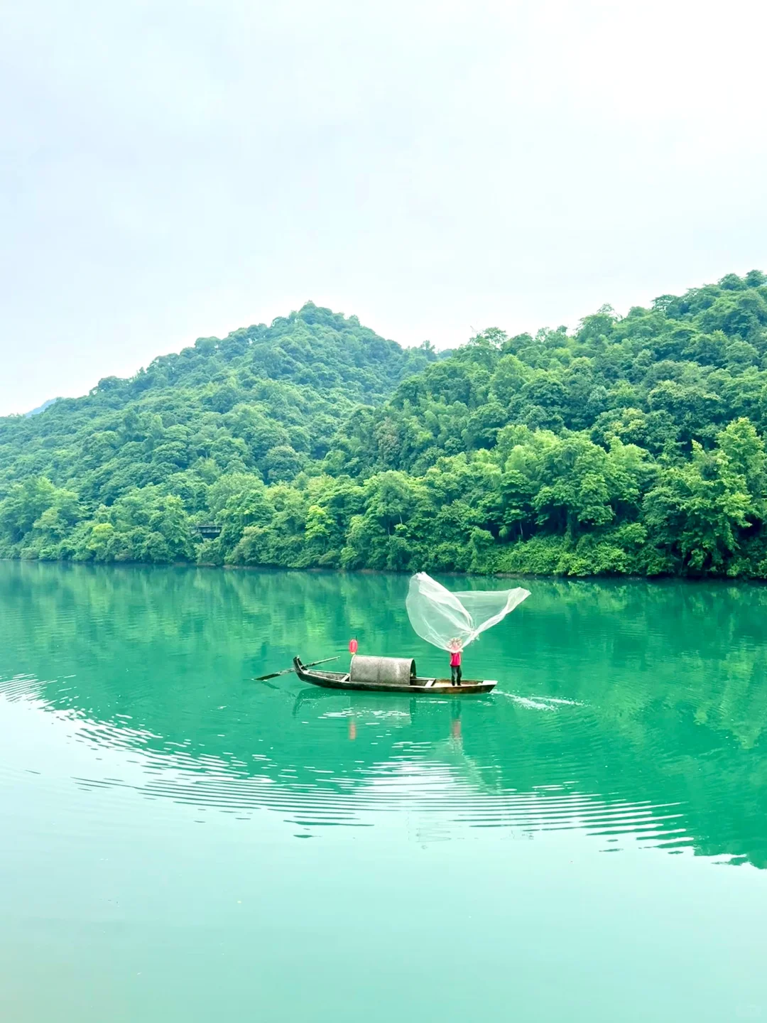 不是呼伦贝尔 🐑 在郴州‼️游玩攻略