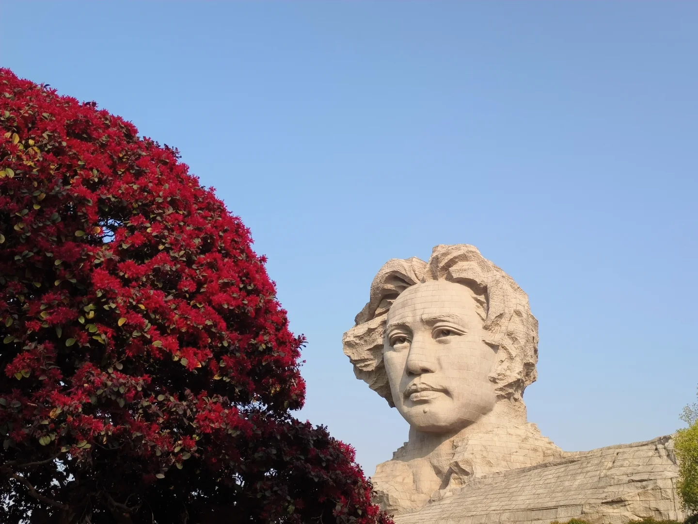 那些我尚未知道的美丽——长沙橘子洲