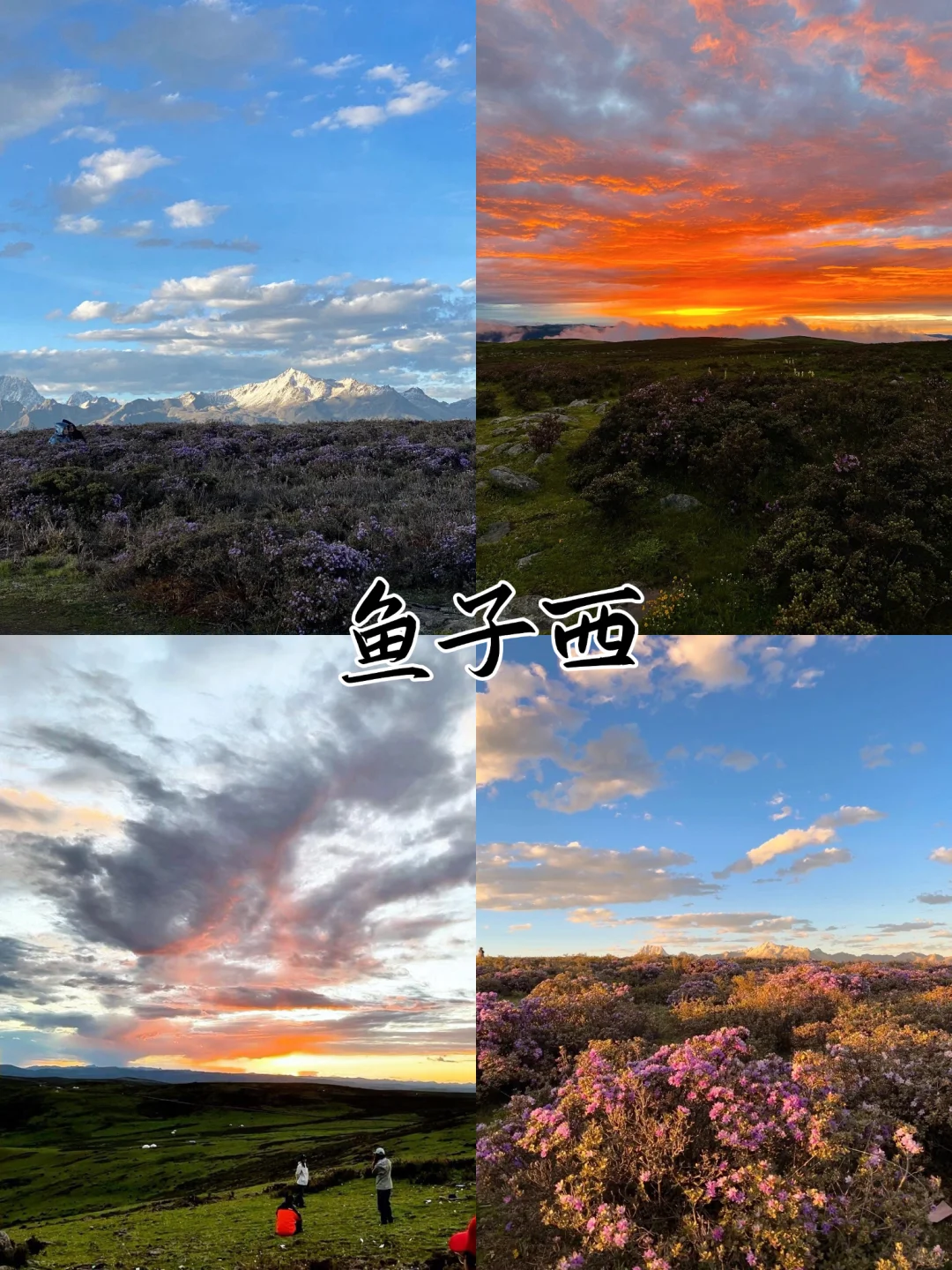 6-8月来川西的宝子们，看看这条5天稻城路线