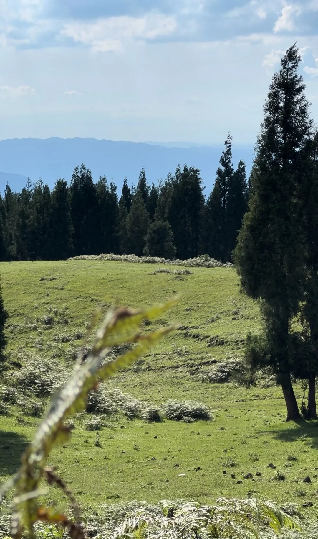 20℃的夏天➕苗寨烟火我找到了！