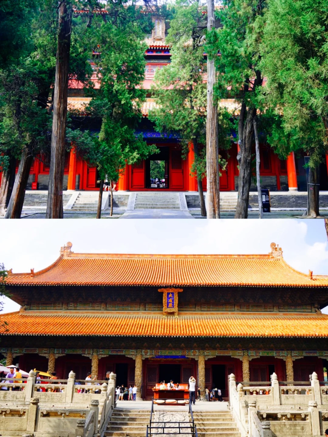 曲阜三孔·游玩攻略