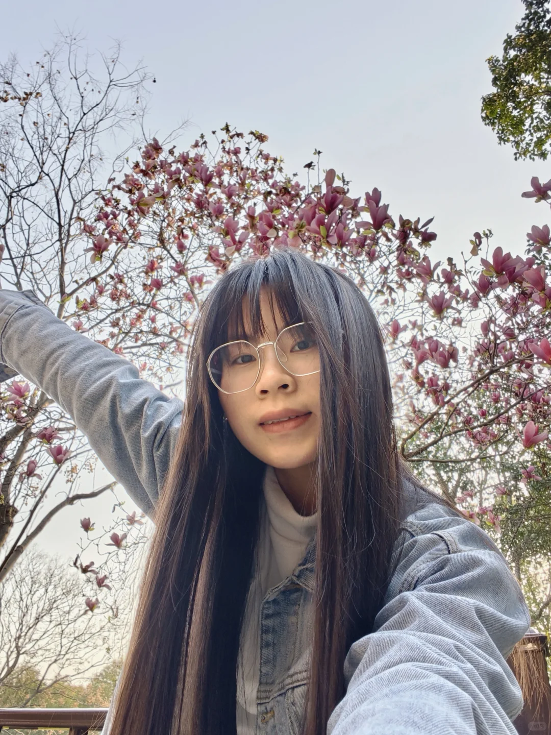 那些我尚未知道的美丽——长沙橘子洲