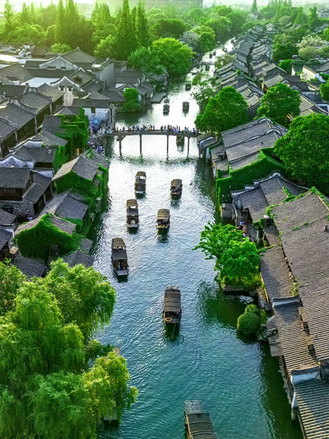 6-8月总要去趟江南吧!感受诗人笔下的苏杭