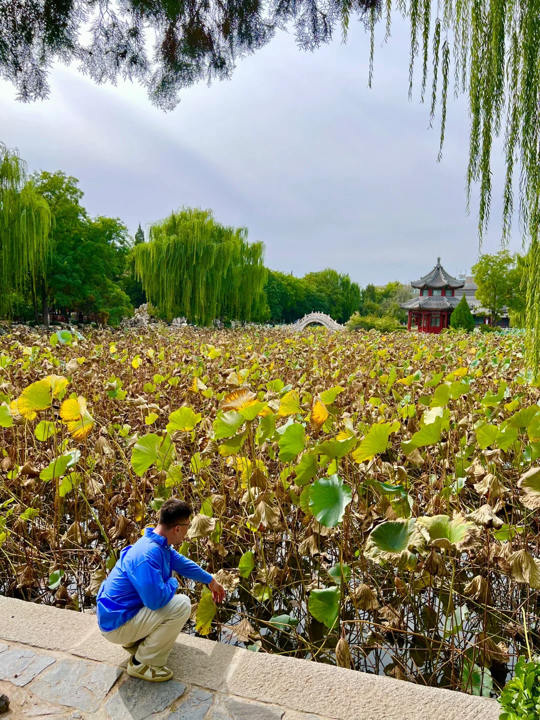 河北没得玩❓来说说河北那些震撼到我的地方