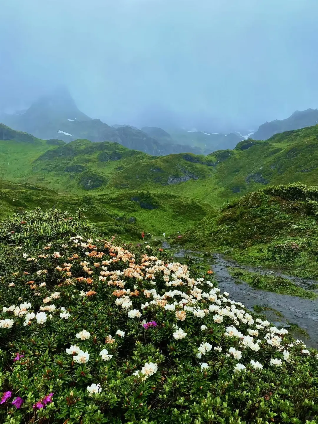 国内版冰岛瑞士❗️来南极洛吧❗️❗️