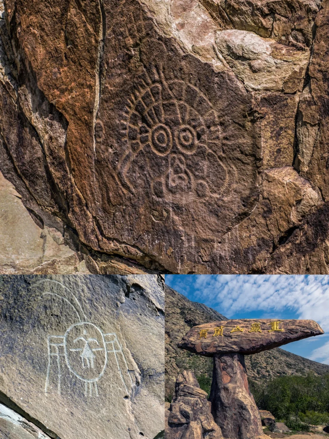 🌈银川｜6-7月淡季来真的很香，人少景美