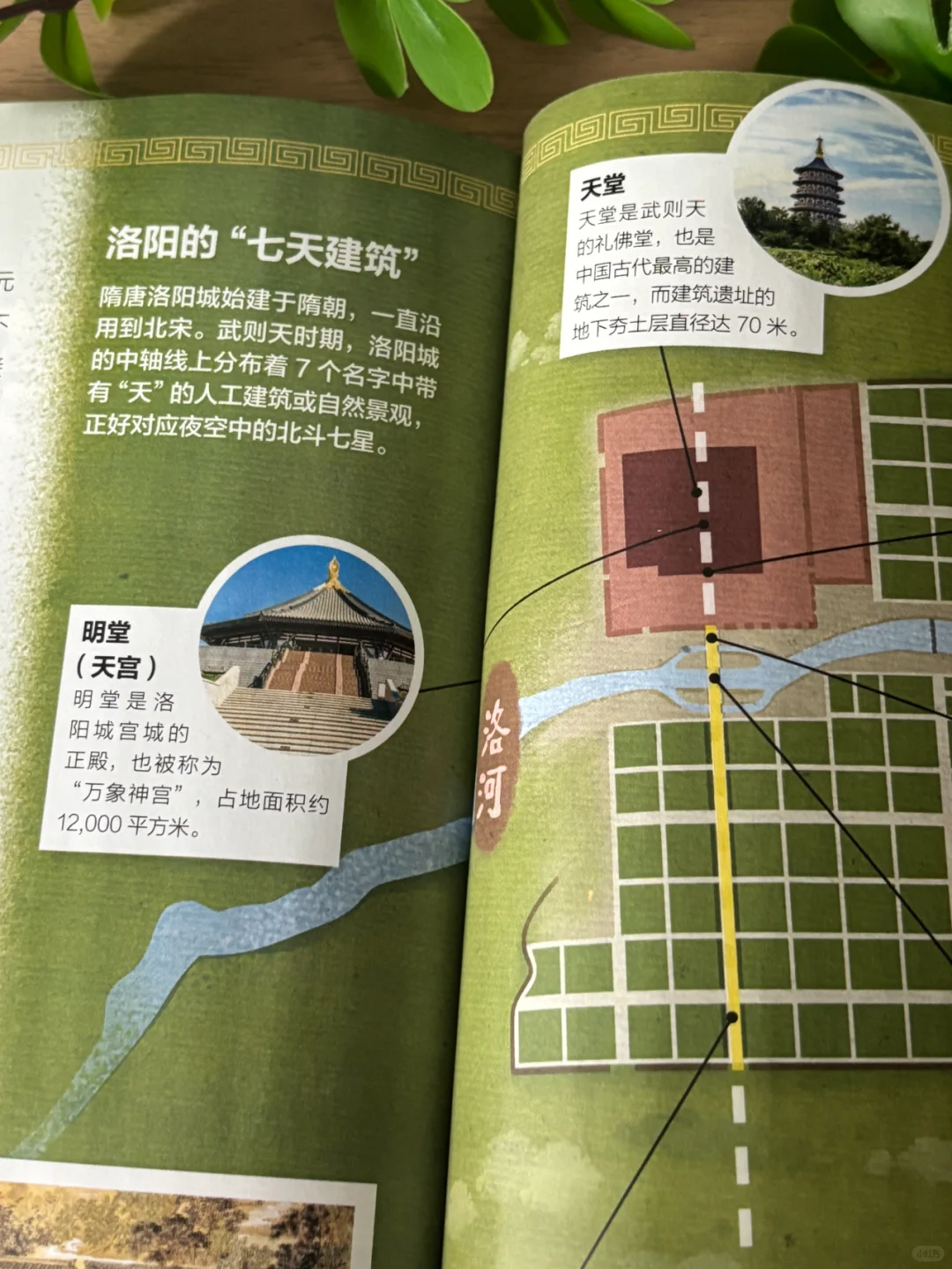 假期亲子游🔥 洛阳历史预习指南请收好~