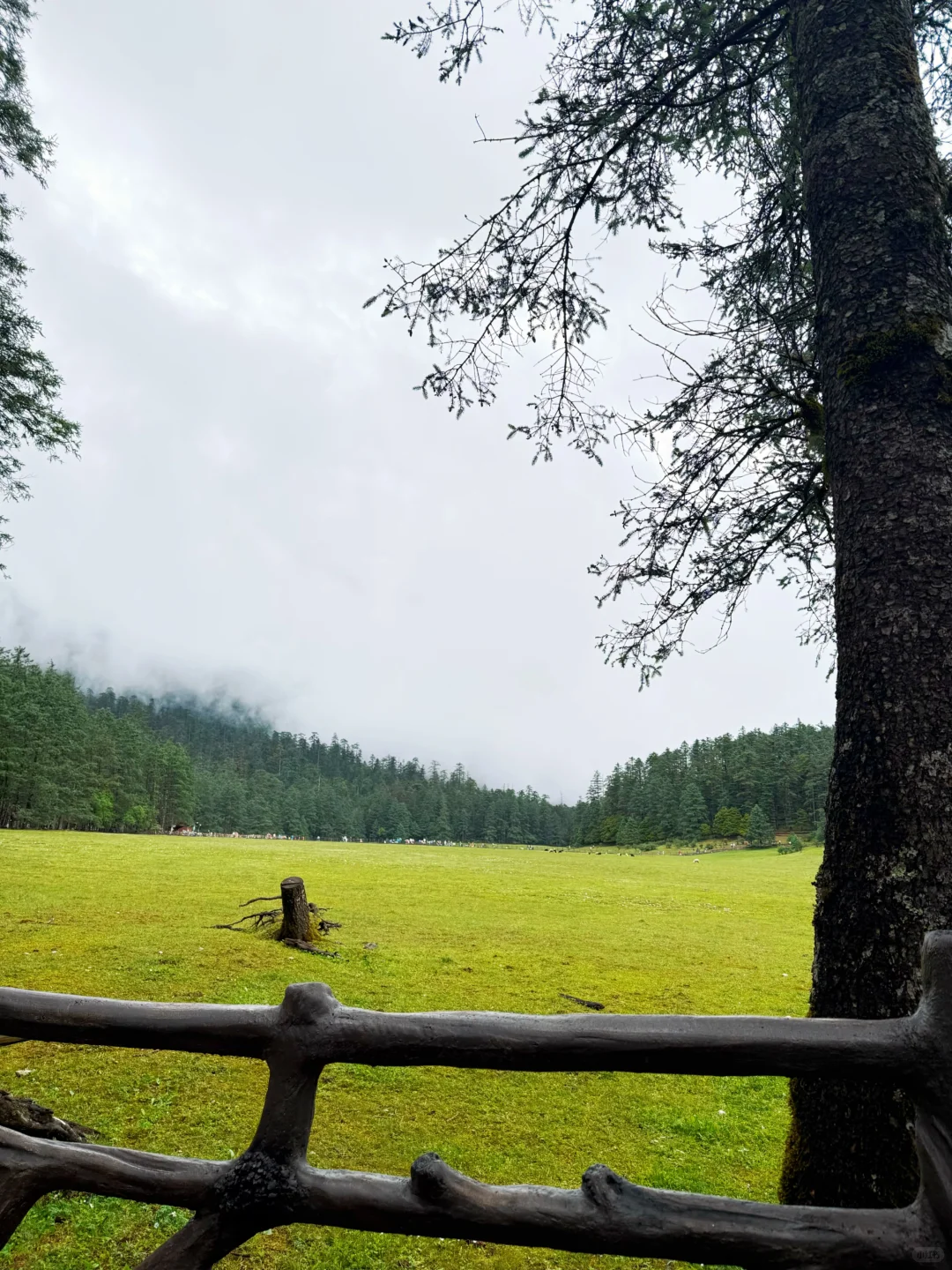 在玉龙雪山出不一样的片📷
