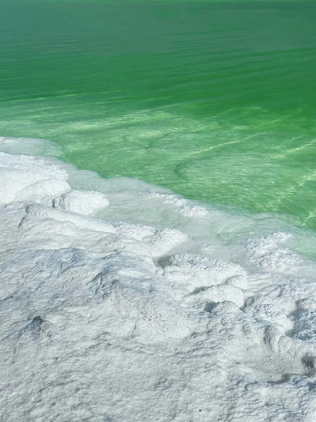 青甘🎨7天6晚💭人均2739💰大西北圆梦