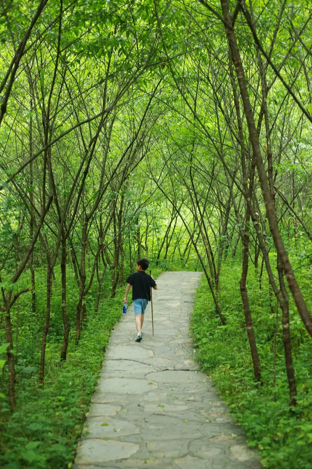 湖北恩施📍被《国家地理》评为人间仙境