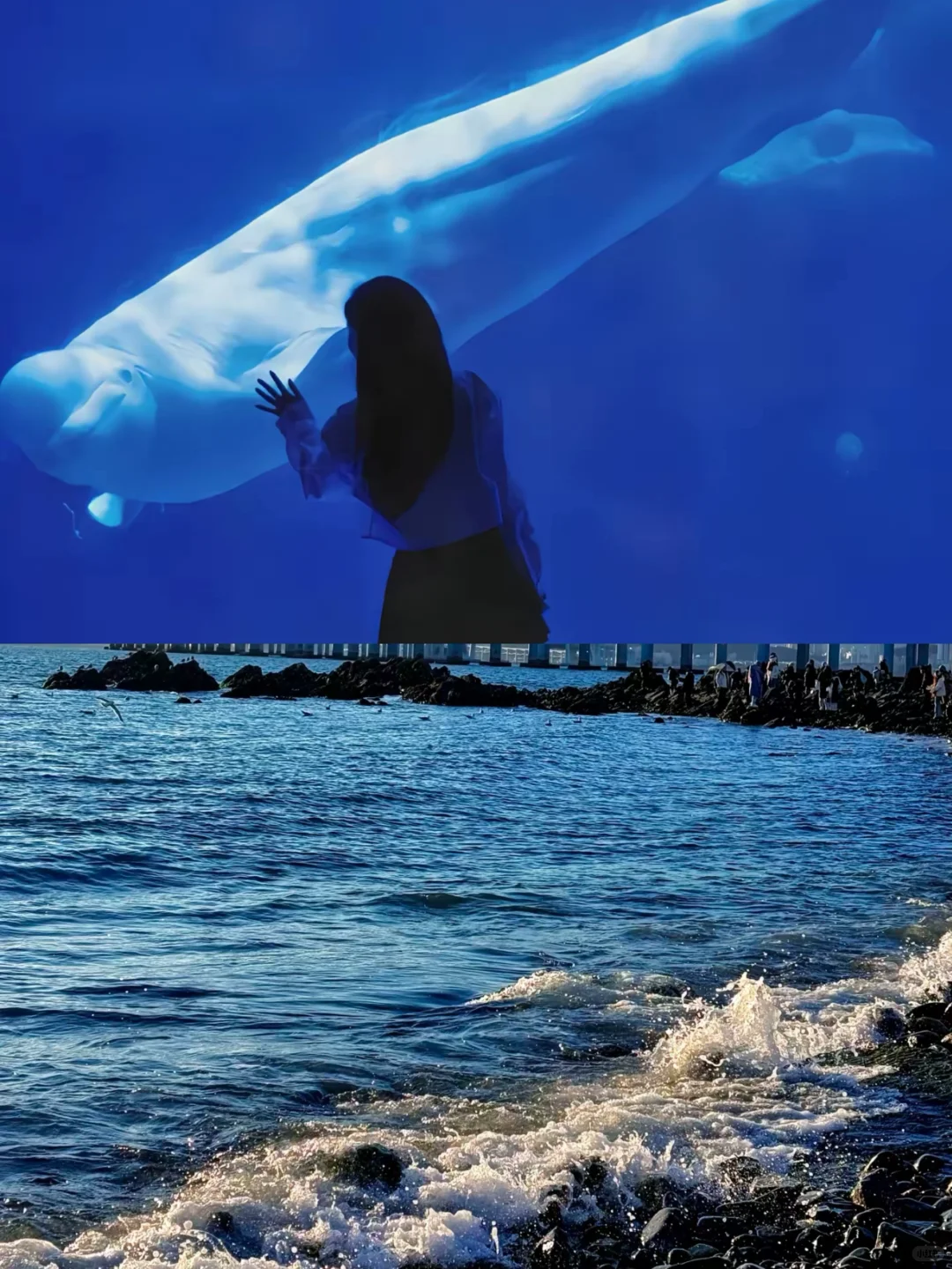 04女大📍大连｜两天一夜保姆级详细版攻略🔥