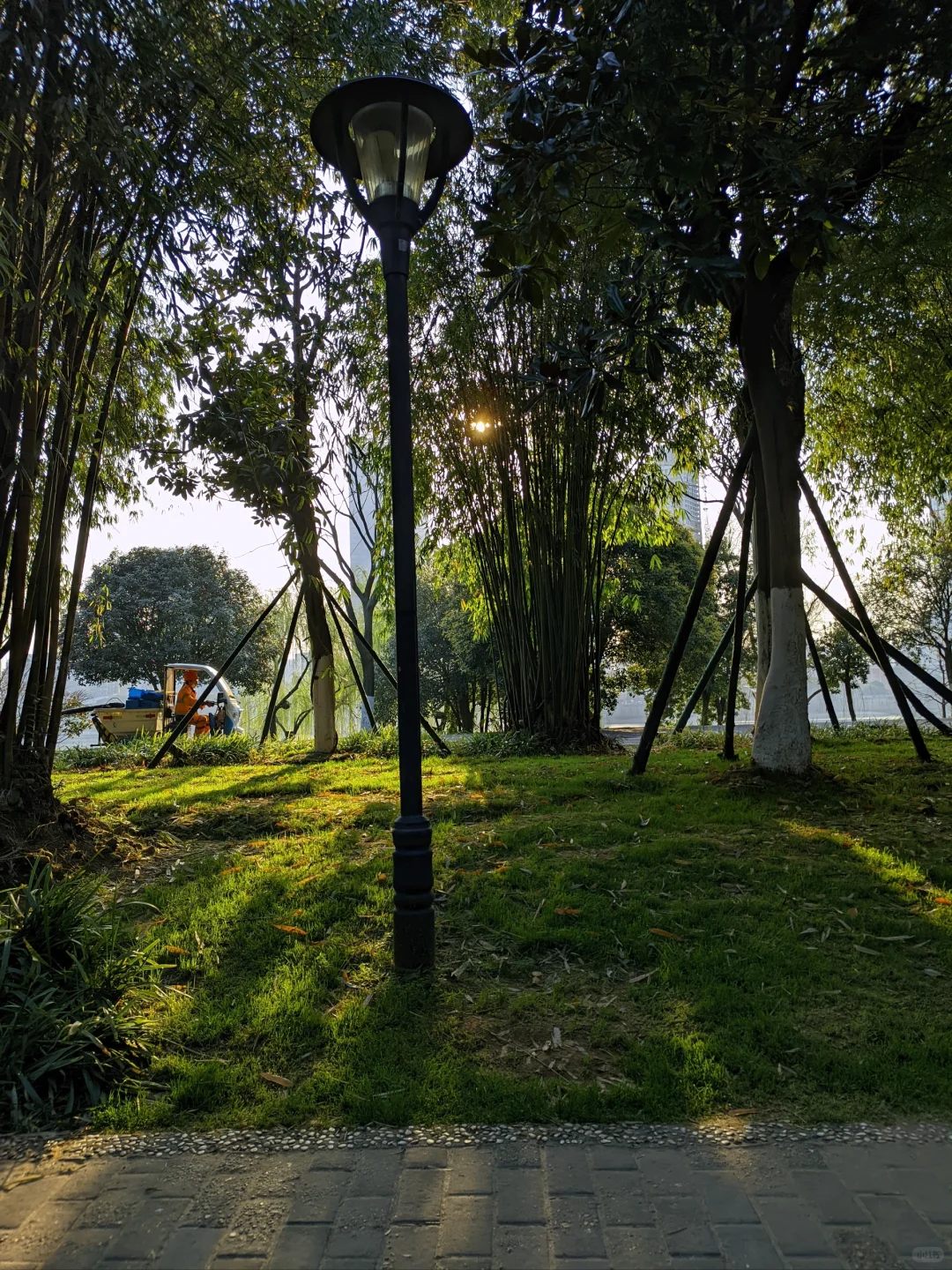 那些我尚未知道的美丽——长沙橘子洲