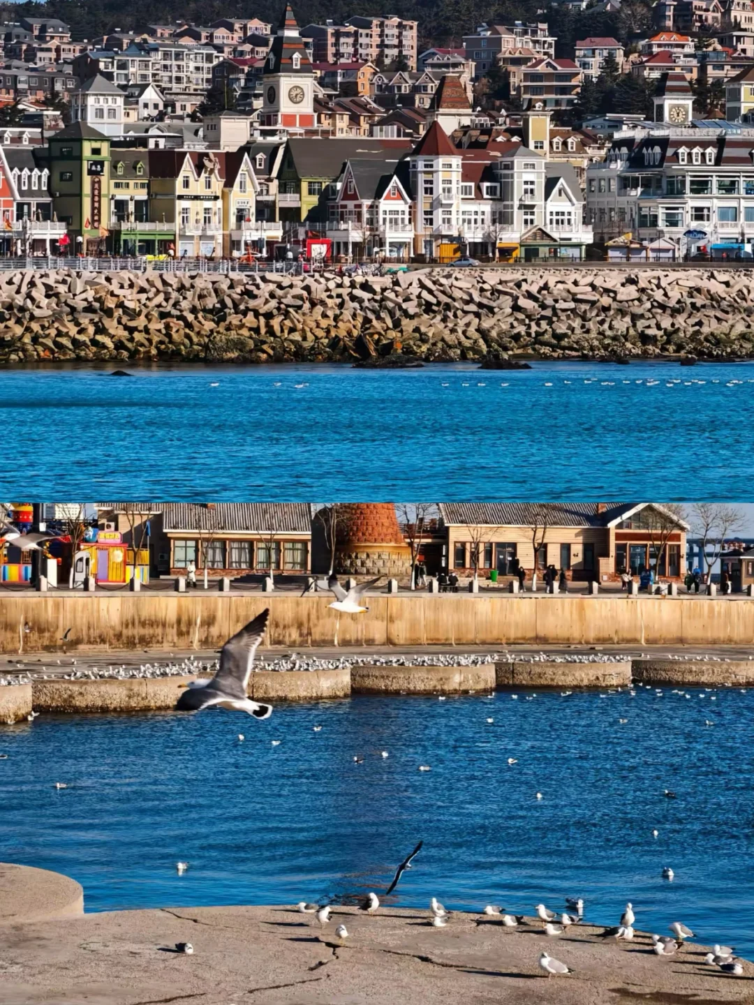 04女大📍大连｜两天一夜保姆级详细版攻略🔥