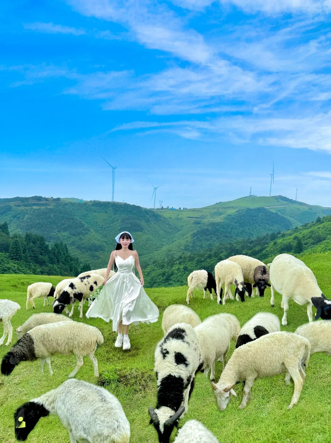 不是呼伦贝尔 🐑 在郴州‼️游玩攻略