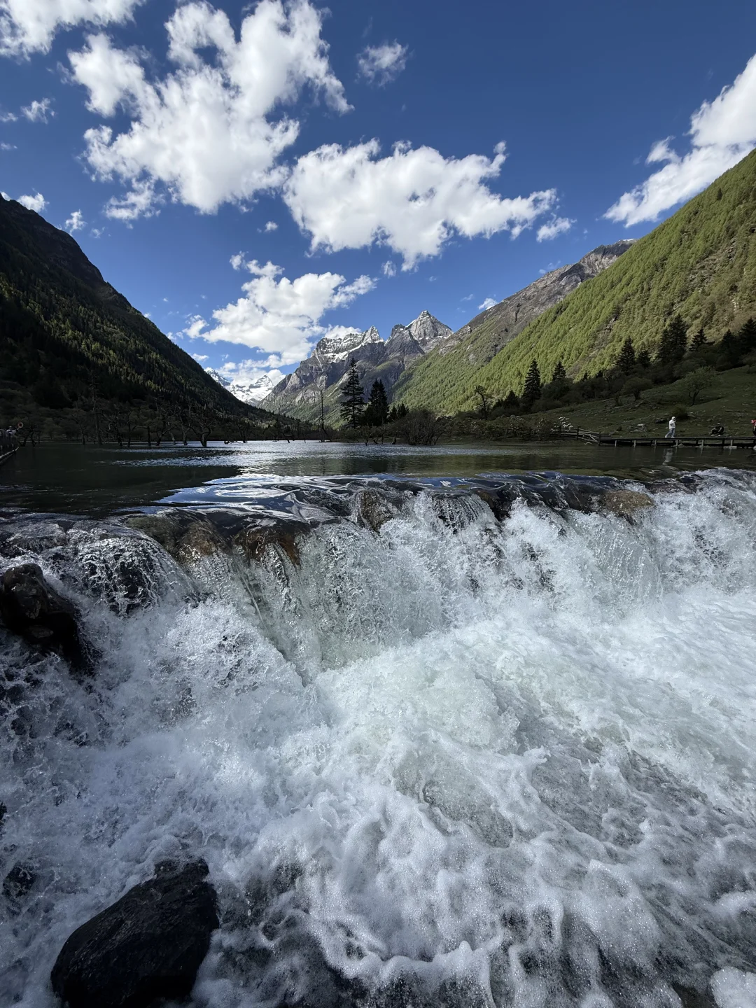 6.5实况！雪山下的松弛感真的可以封神！！live