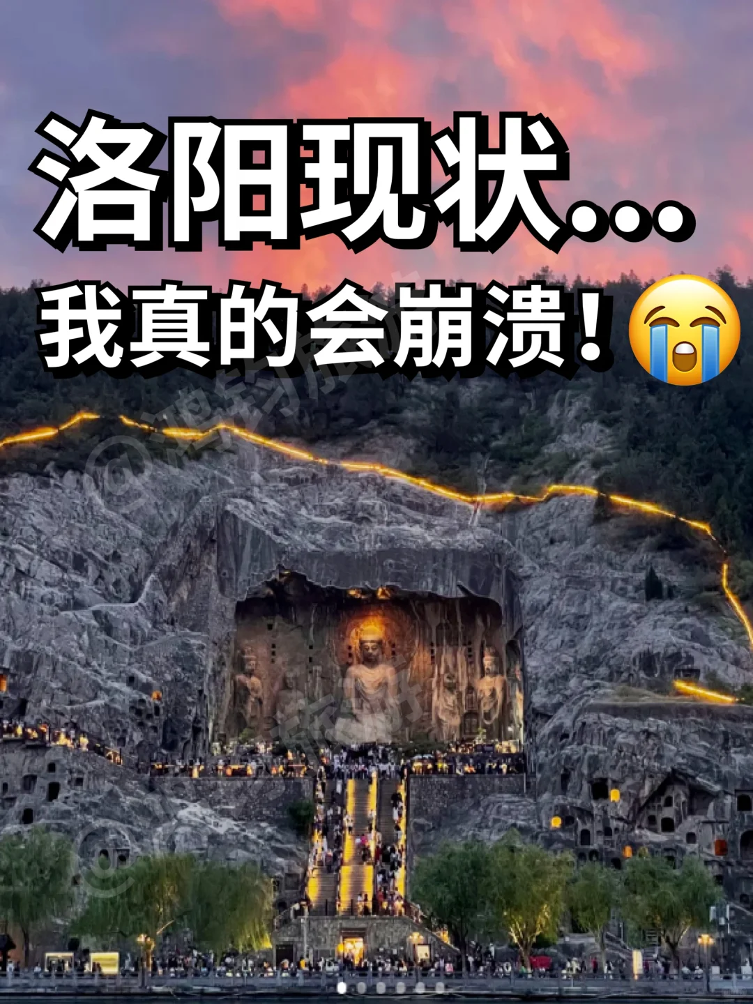 📍6.14洛阳已回。。我真的😭崩溃了……