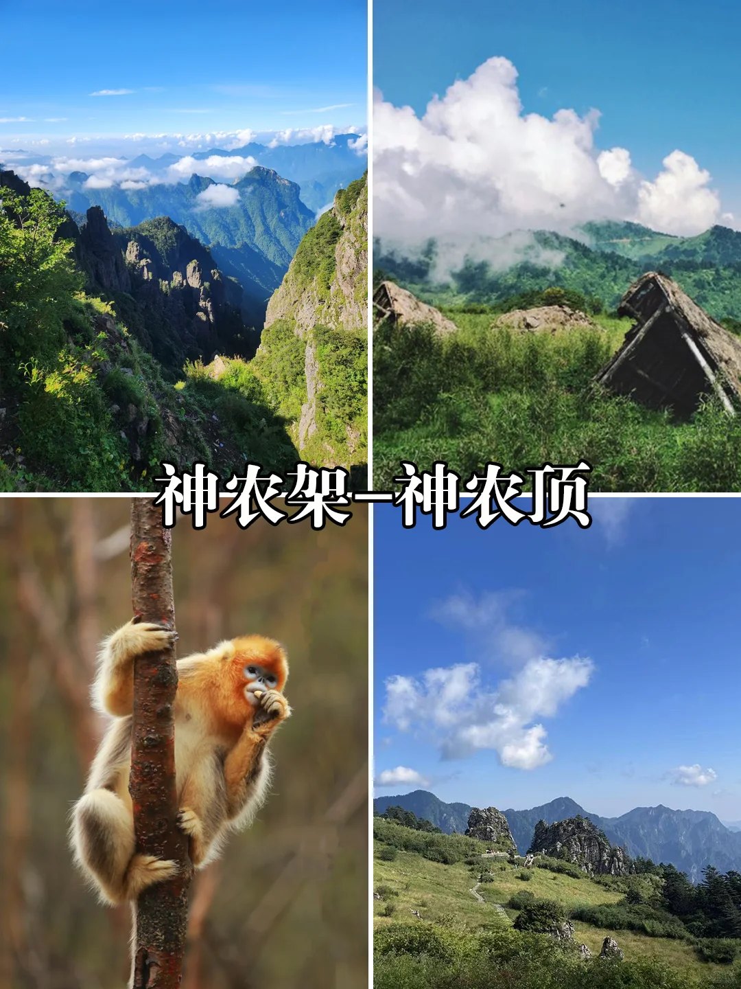 湖北8日旅游攻略,恩施+三峡+神农架+十堰