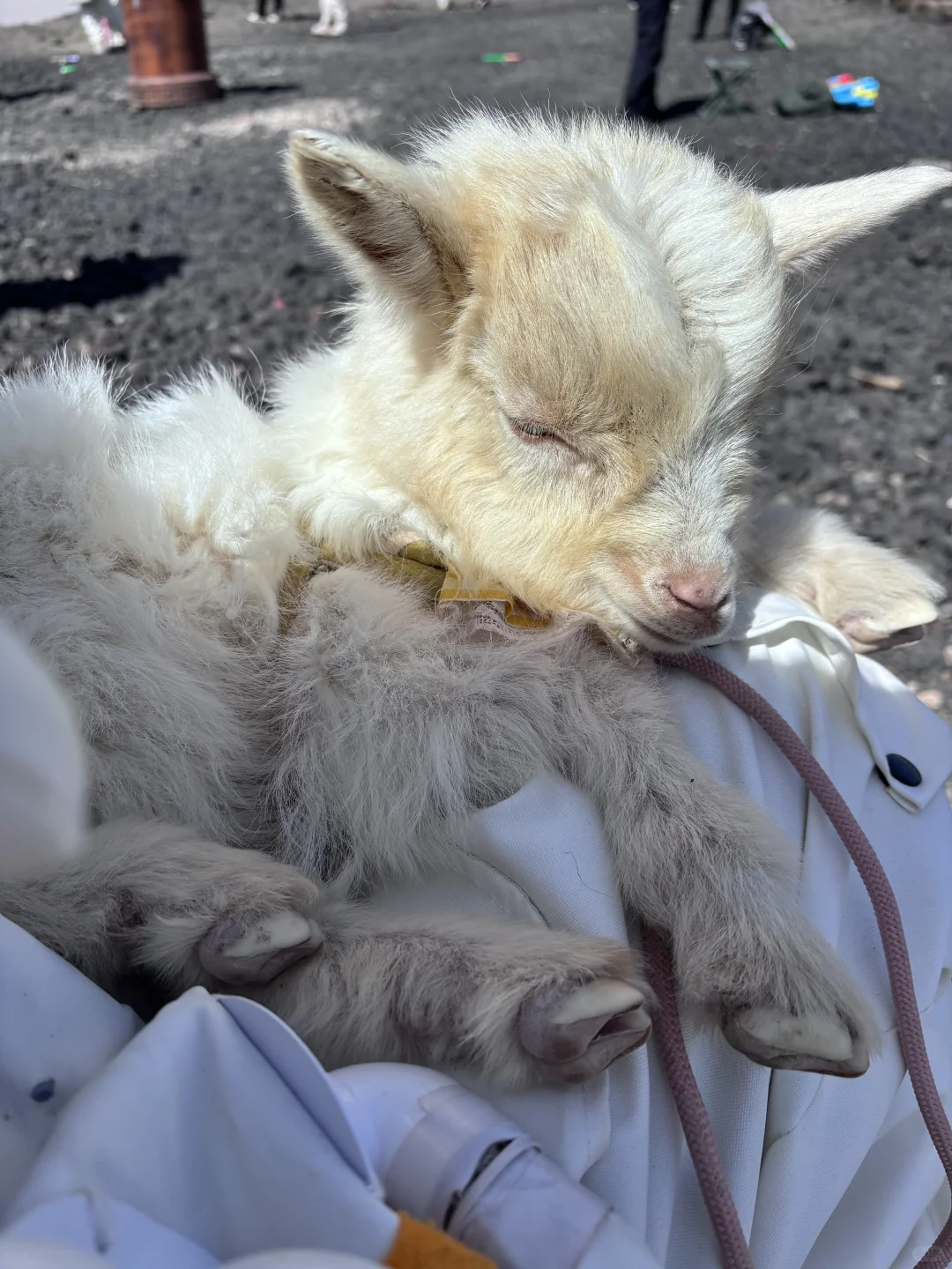 内蒙古|逃离城市计划