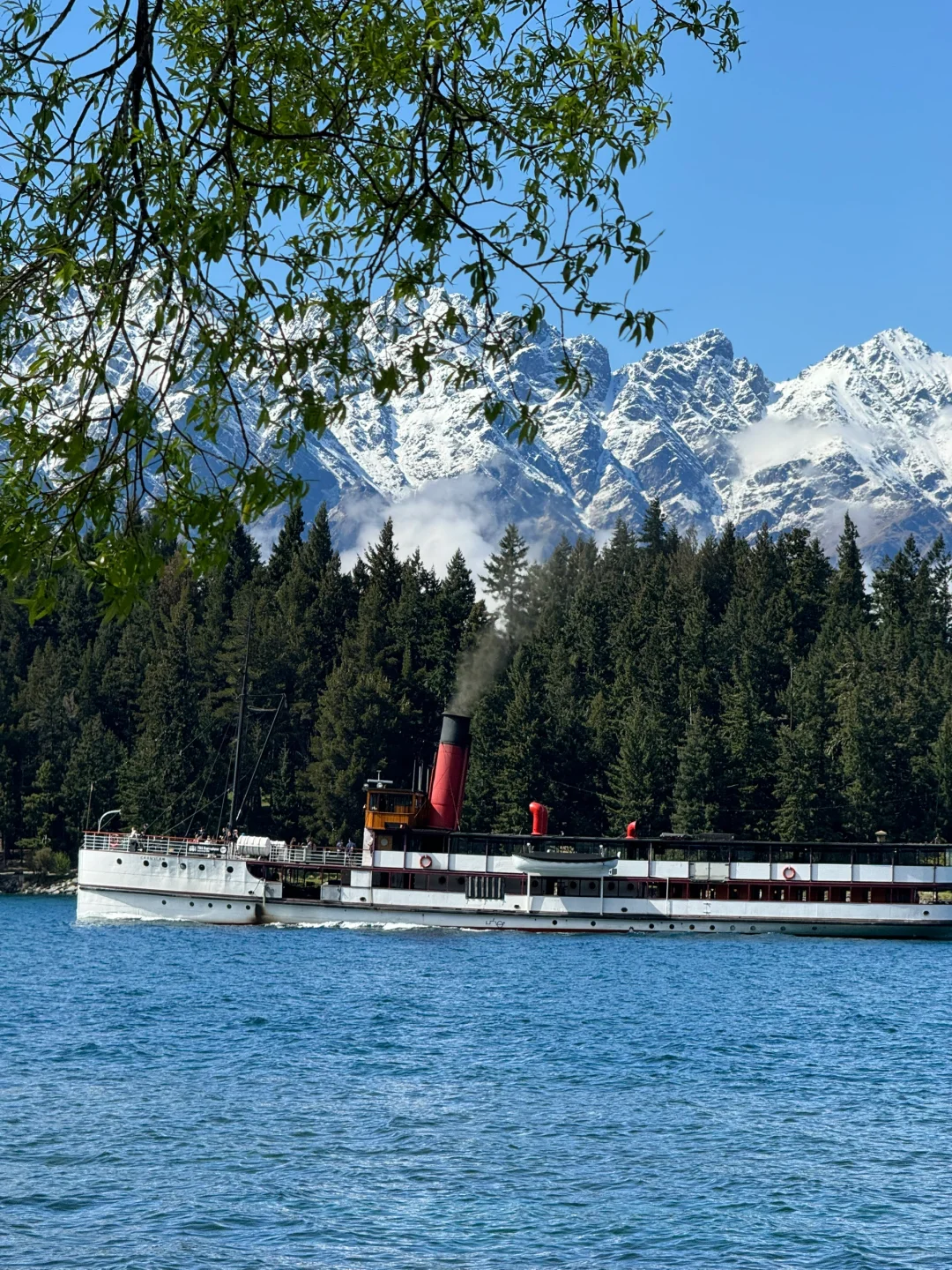 这个蓝是真实存在的！live图