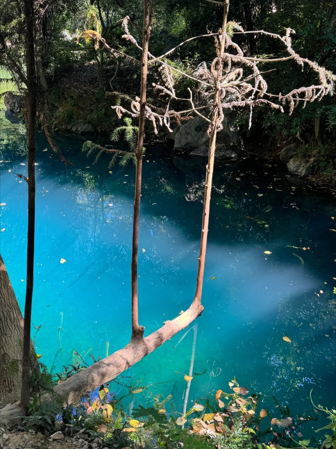 你一句桂林山水甲天下，我便到了真江南
