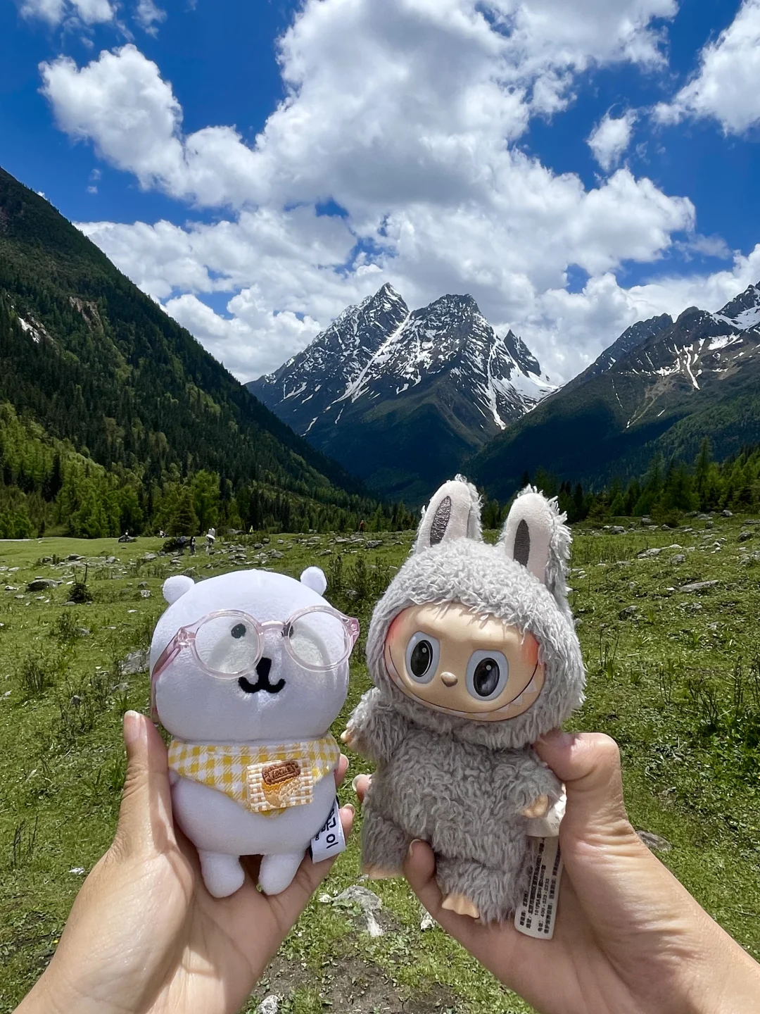 6.13live！初夏的四姑娘山美到窒息！！附攻略