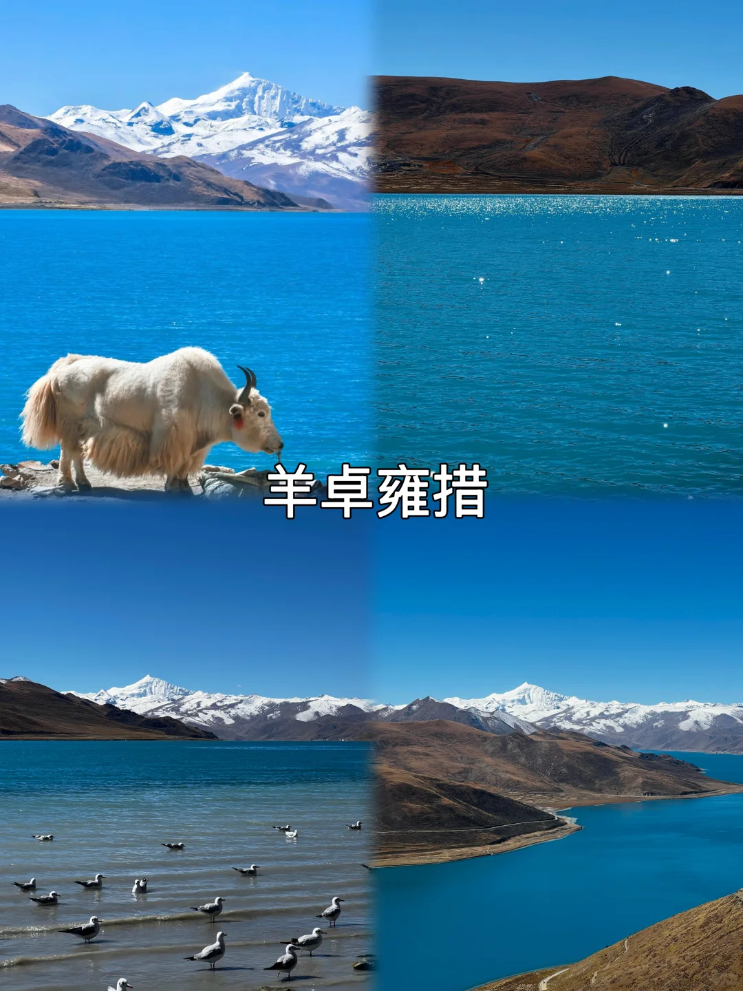 西藏必去九大景点‼️在来之前一定要看‼️