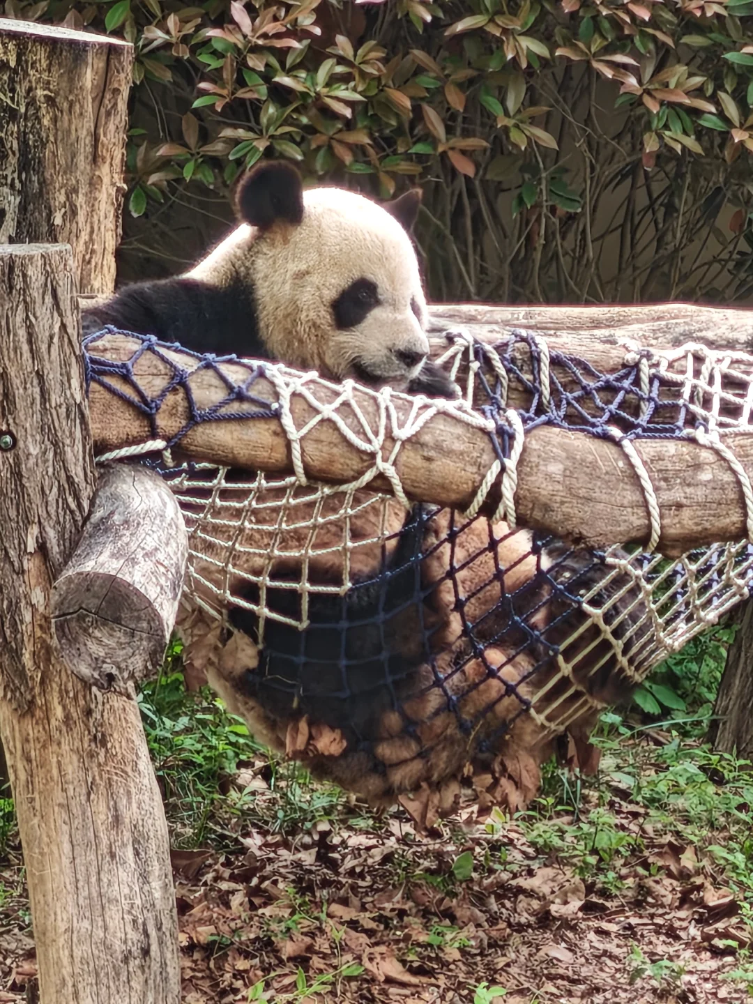 青岛，一个令人向往的城市