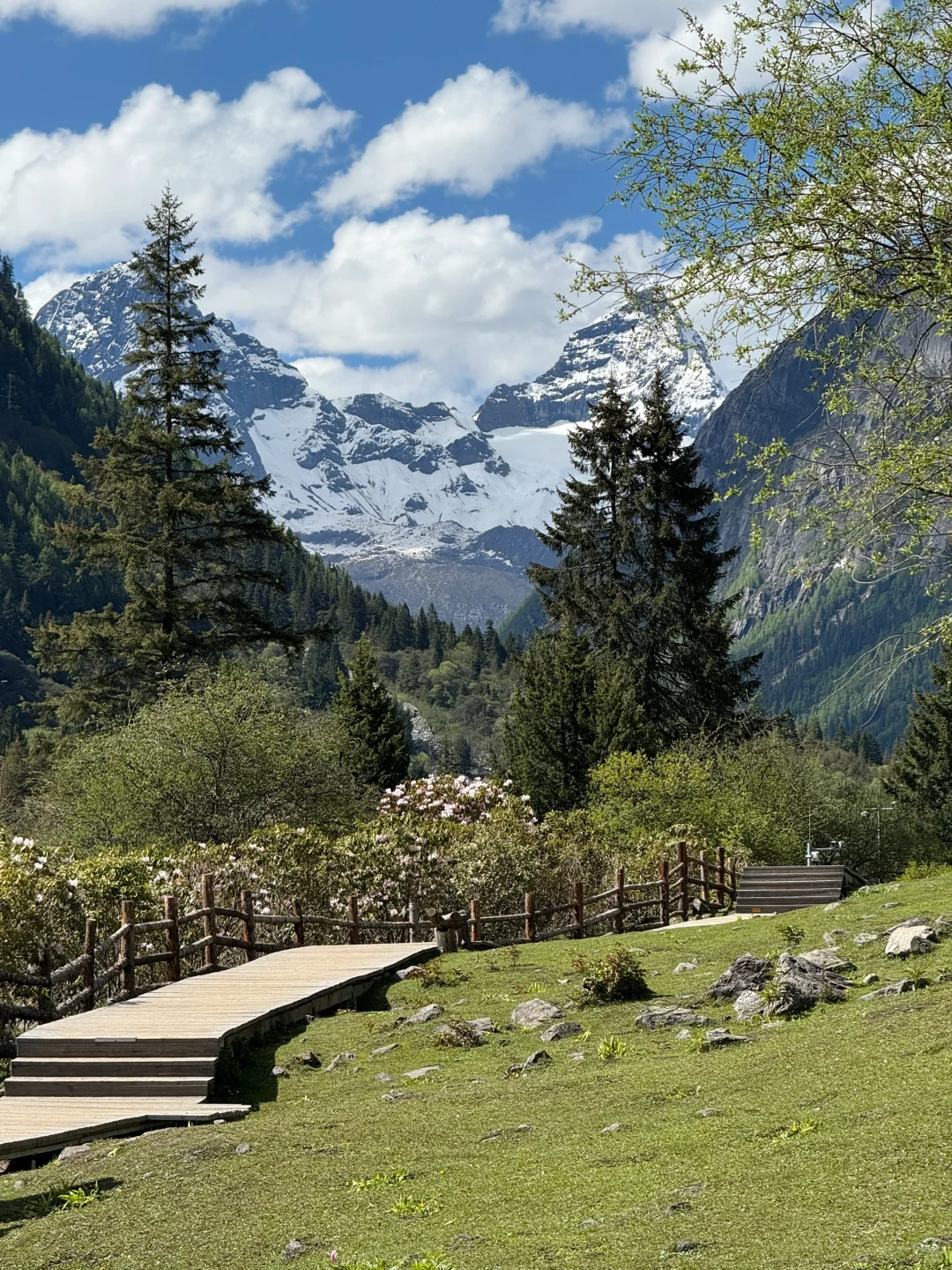 6.5实况！雪山下的松弛感真的可以封神！！live