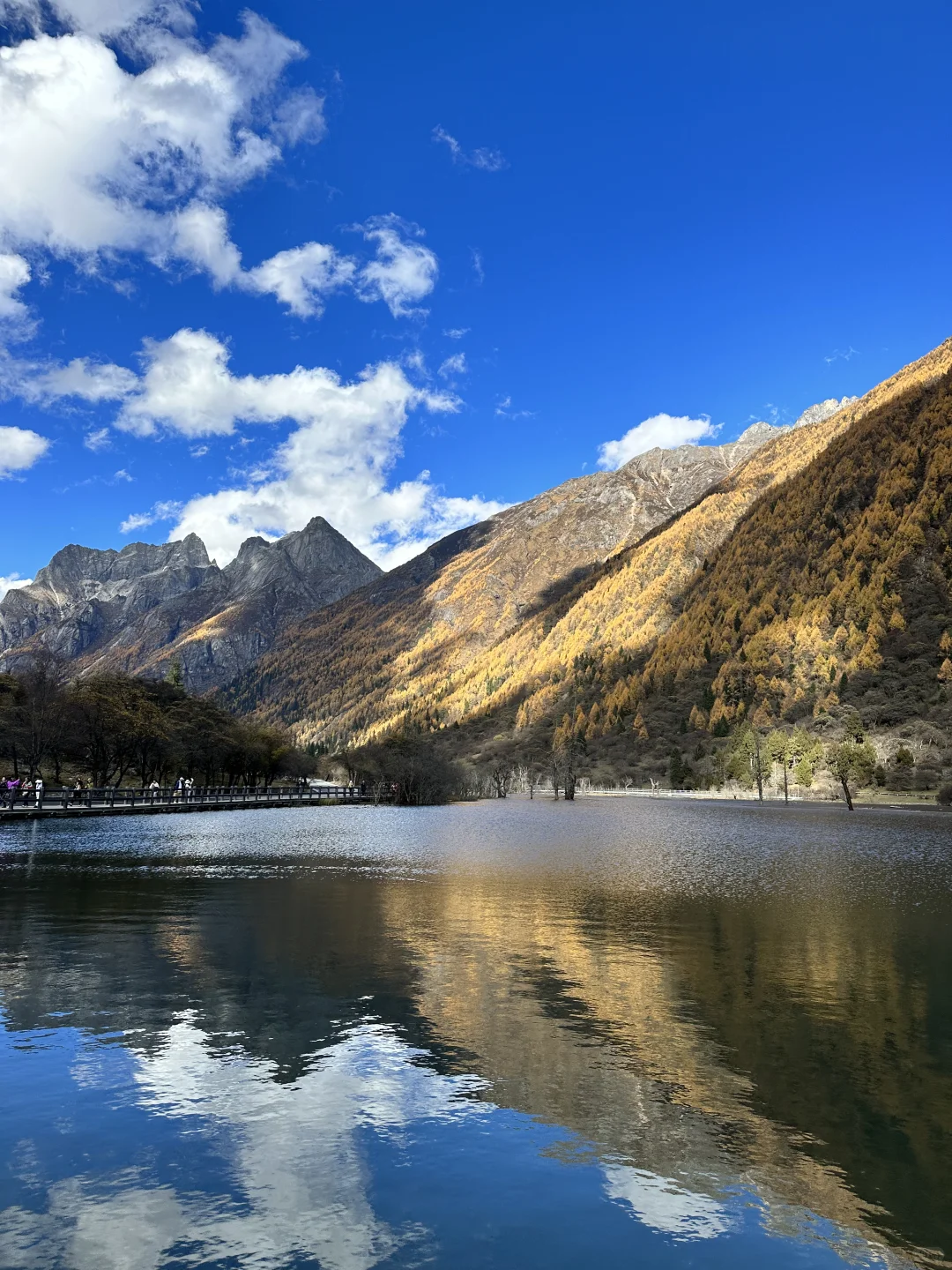 一人出游📍四川4天4晚超实用旅游攻略✈️