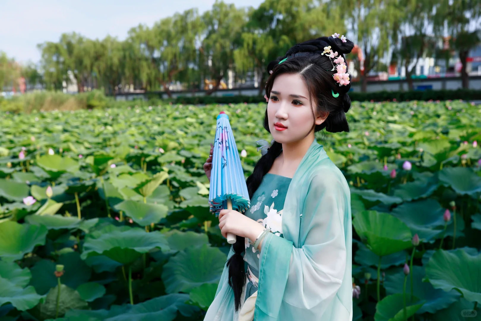 济南约拍--汉服荷花写真（大明湖）