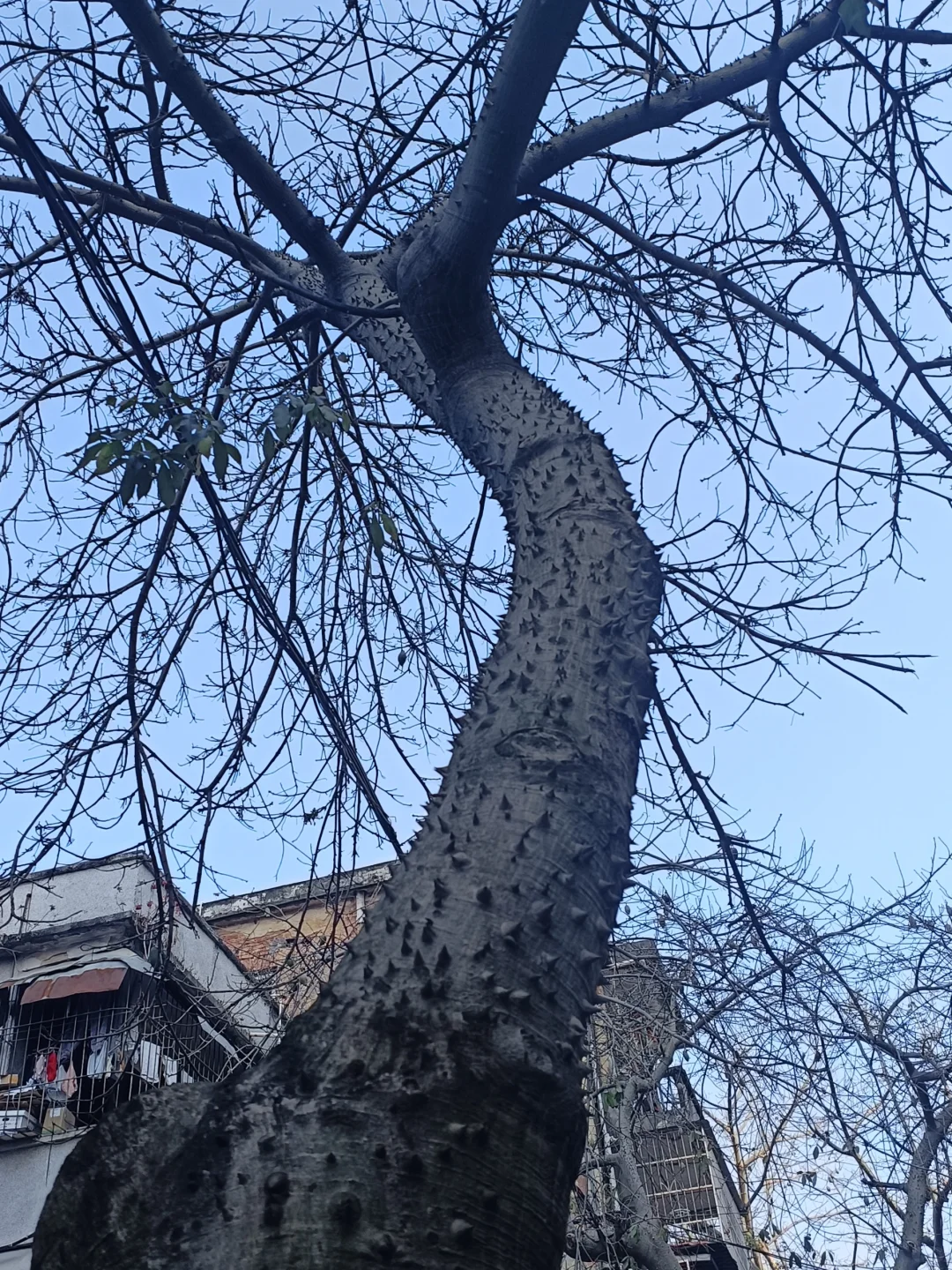 惠州西湖 水东街 752