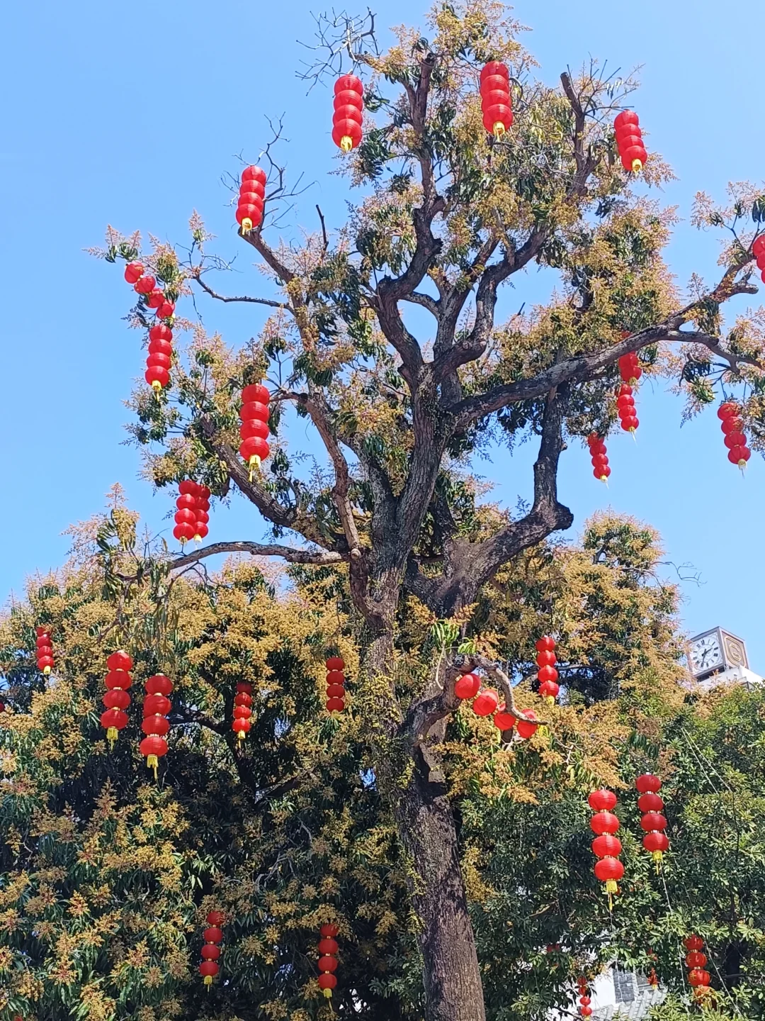 惠州西湖 水东街 752