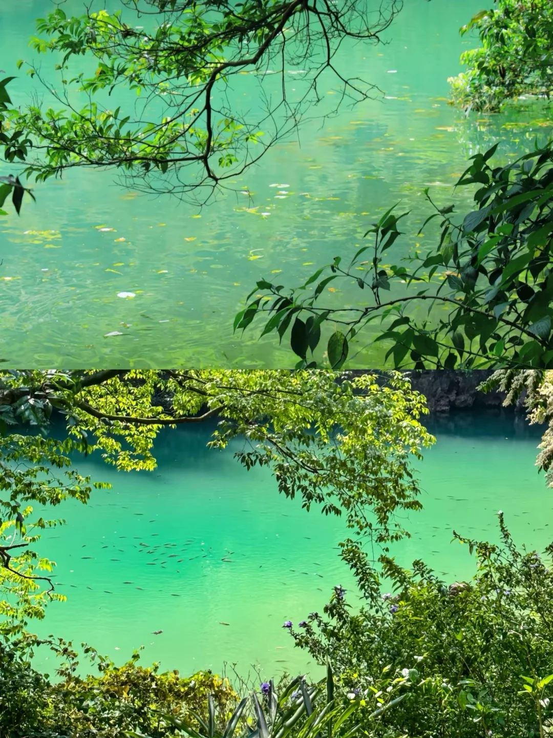 04女大📍柳州｜两天一夜保姆级详细攻略🔥