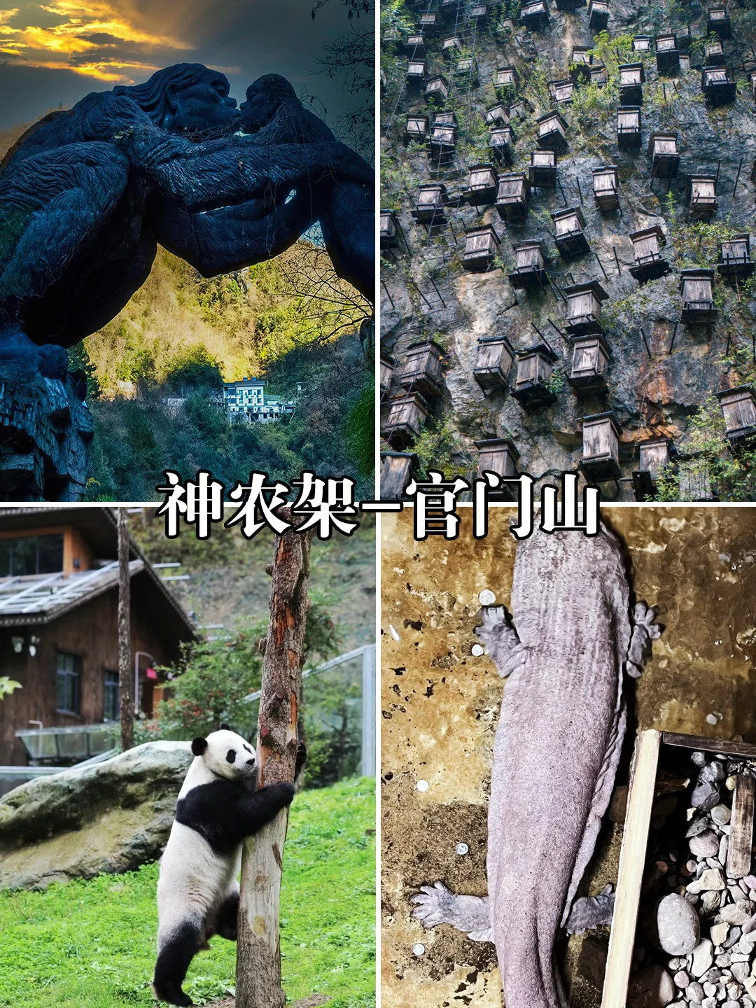 湖北8日旅游攻略,恩施+三峡+神农架+十堰