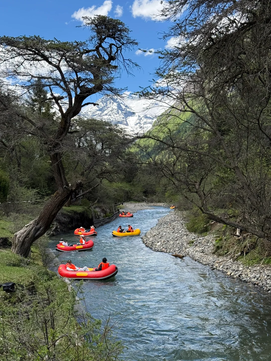 6.5实况！雪山下的松弛感真的可以封神！！live