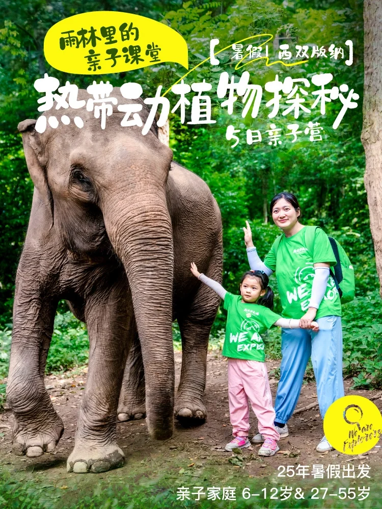 2025全年亲子游🥇12个宝藏目的地汇总‼️