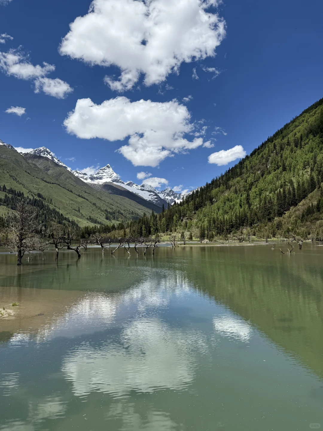 6.5实况！雪山下的松弛感真的可以封神！！live