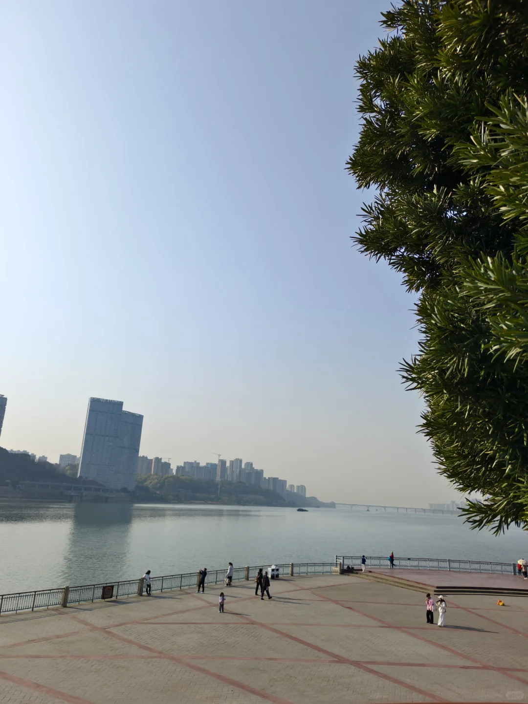 那些我尚未知道的美丽——长沙橘子洲