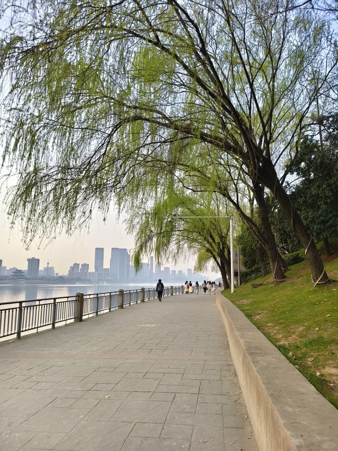 那些我尚未知道的美丽——长沙橘子洲