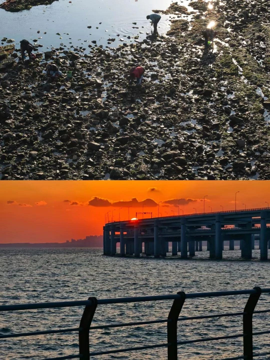 04女大📍大连｜两天一夜保姆级详细版攻略🔥