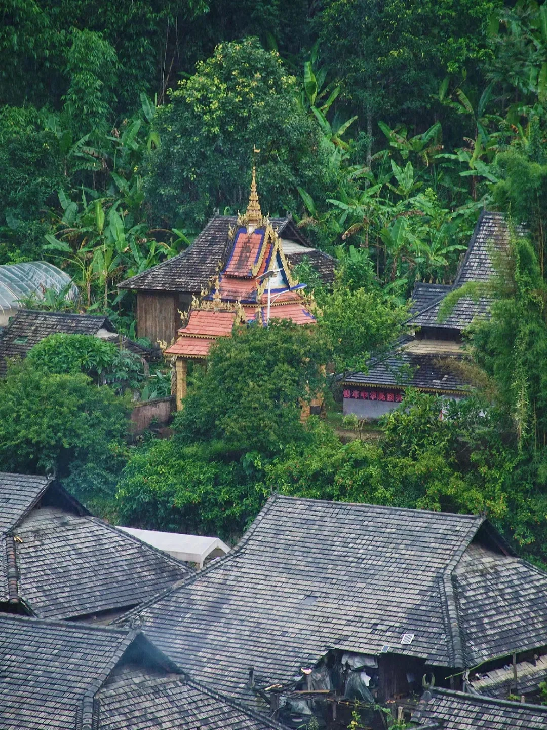 比大理松弛，国内唯一以茶命名的城市