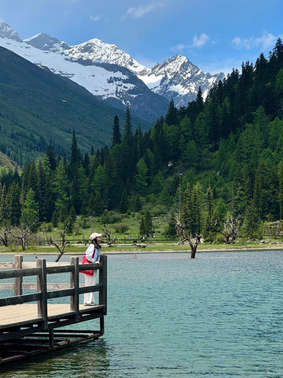 6.13live！初夏的四姑娘山美到窒息！！附攻略