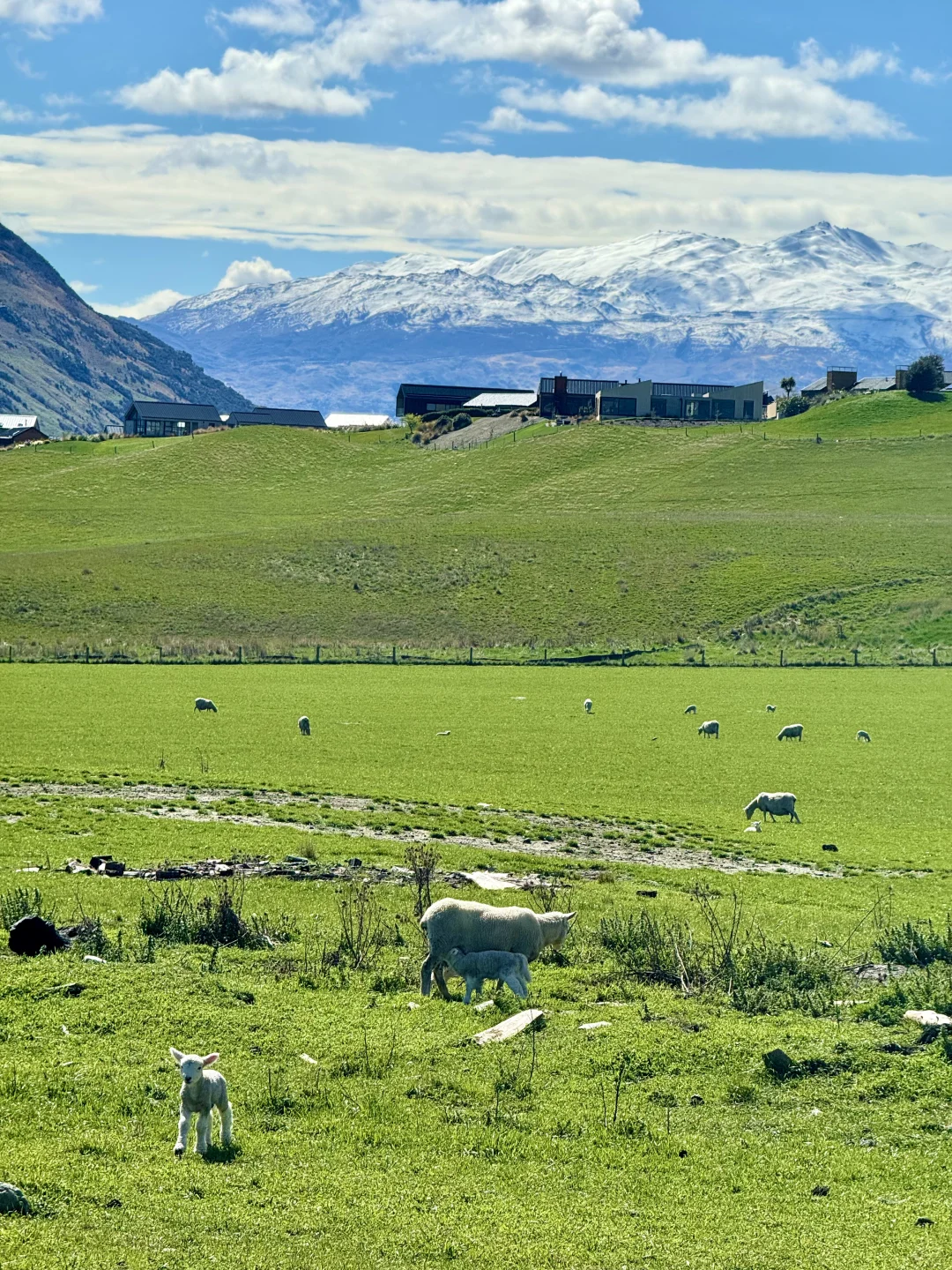 这个蓝是真实存在的！live图