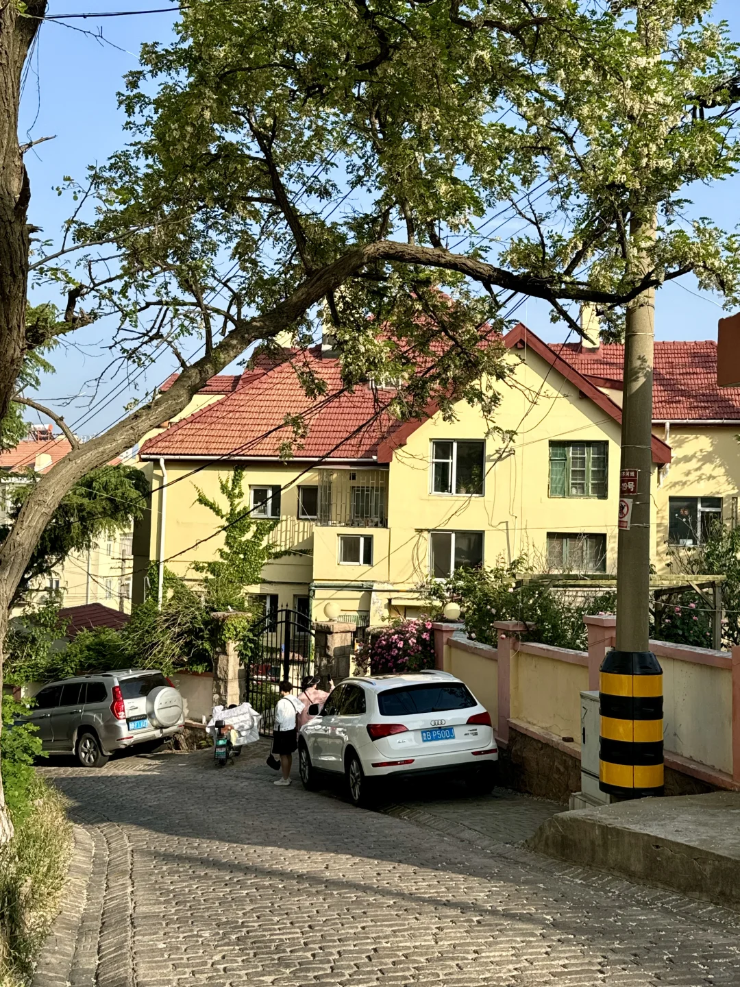 青岛已回。。。我的建议是不做攻略=白来！！！